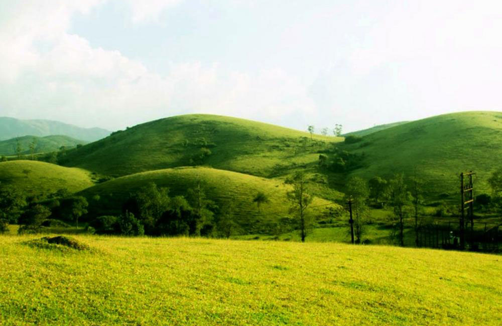 Vagamon Meadows/ Barren Hills/Motta Kunnu - Vagamon in Kerala is a ...